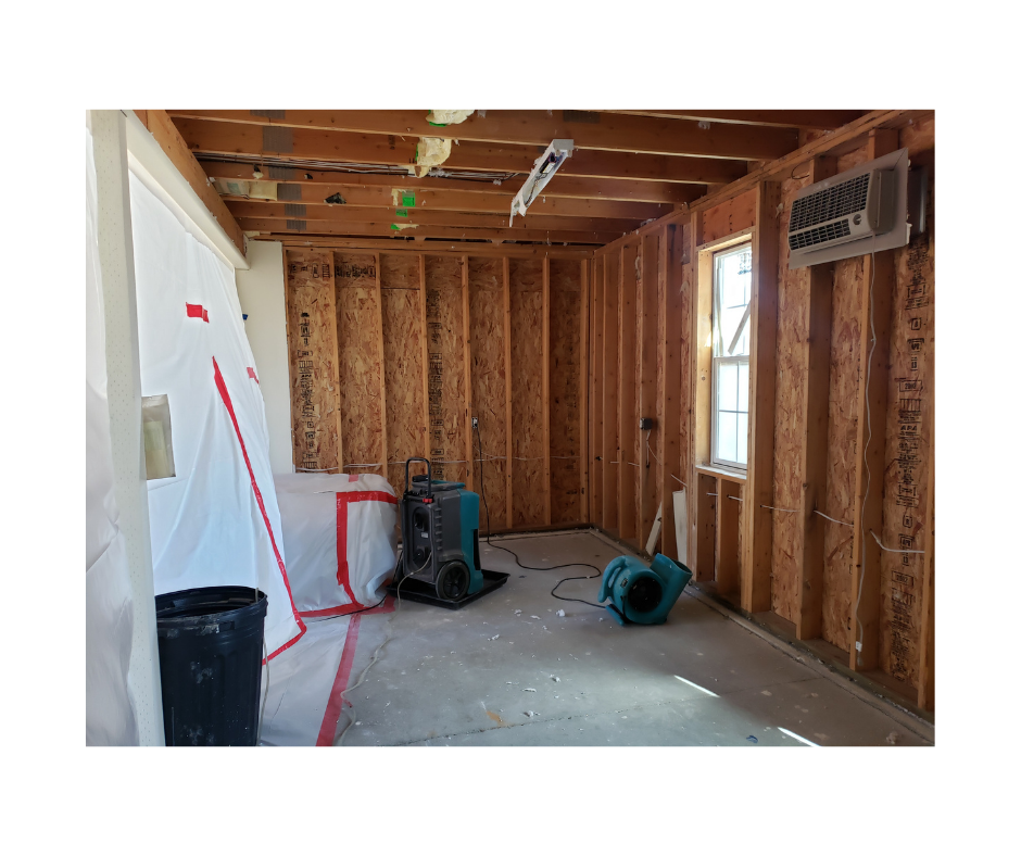 Mold remediation